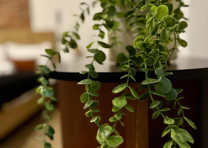 Apartament 9 By Hidden Garden Lägenhet Łódź